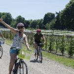 Always good times on the Wine Trail Ride cycling tour!