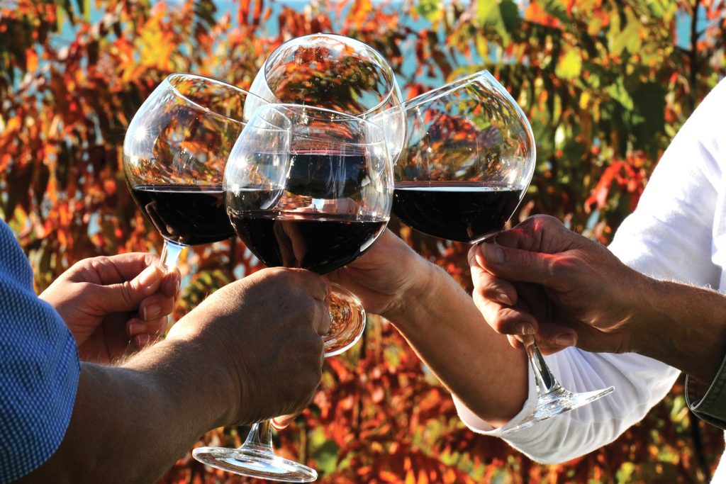 Cheers to Grape Vine Tours!