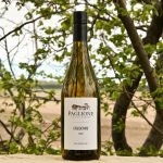 The 2019 Chardonnay from Paglione Estate Winery in Essex, Ontario.