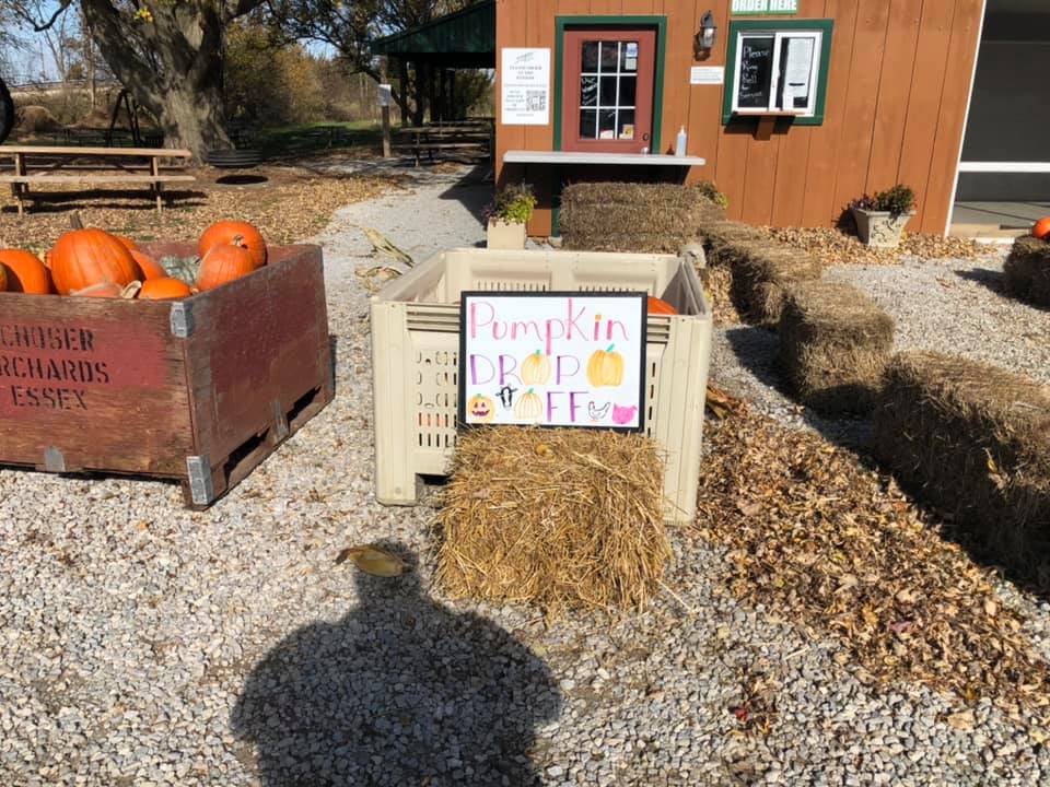 Wagner Orchards pumpkin dropoff